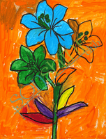 Joyce W.
